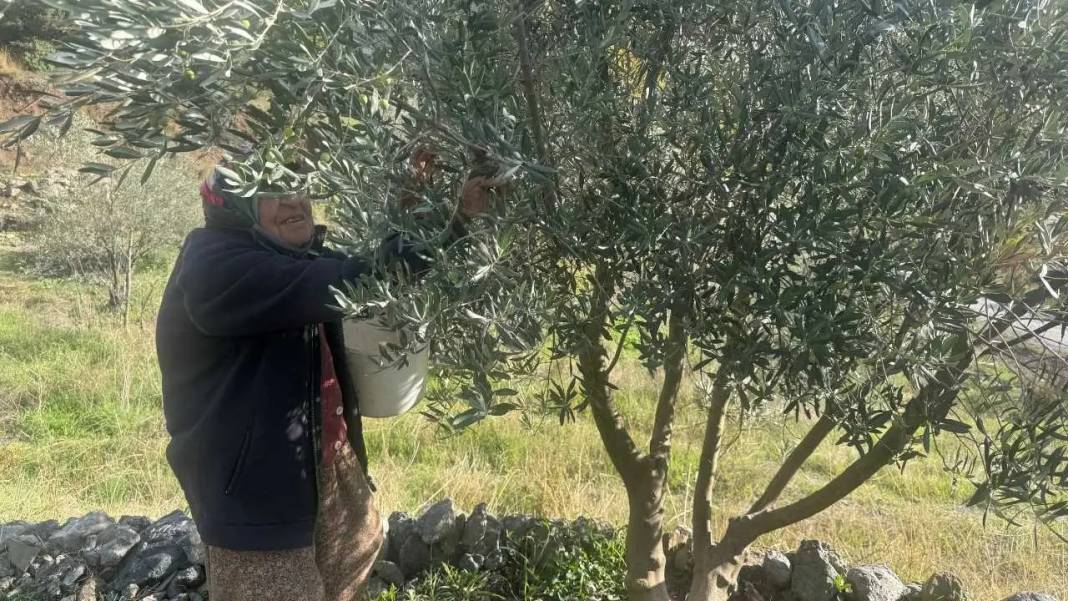 Akseki’de 88’lik Emine Teyze Gençlere Taş Çıkartıyor! 2